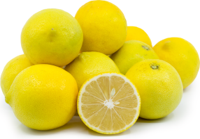 Lime Yellow Pack