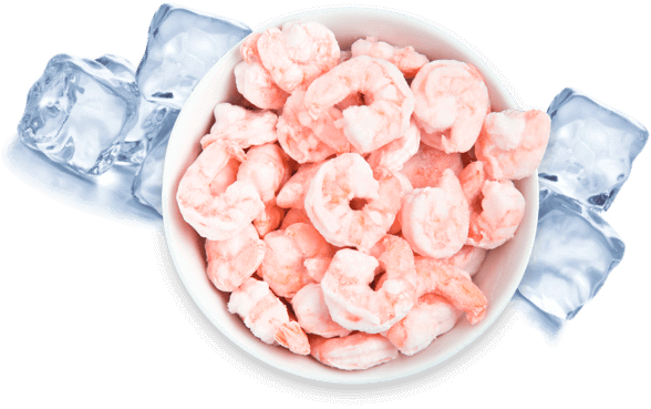 Frozen Fish
